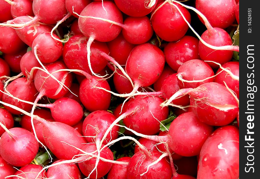 A bunch of fresh radishes ready to be sale on market. A bunch of fresh radishes ready to be sale on market