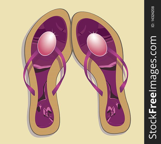 Beach Footwear. Vector Illustration