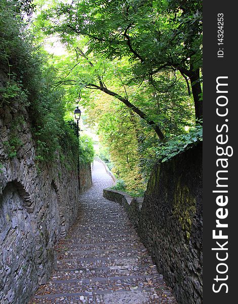 Secluded corner lane with pavestone under trees. Secluded corner lane with pavestone under trees