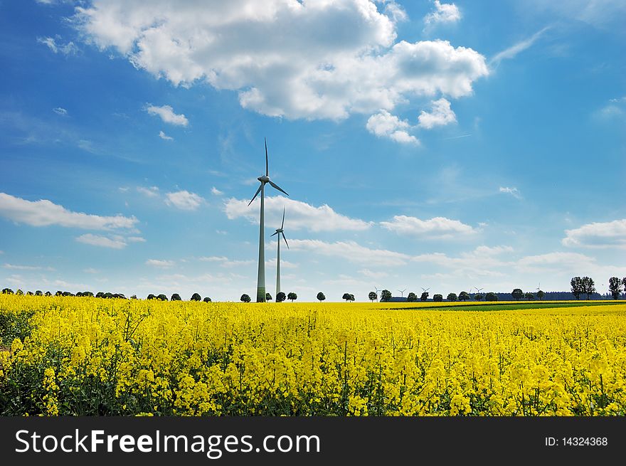 Wind turbines among rapeseed fields and mead