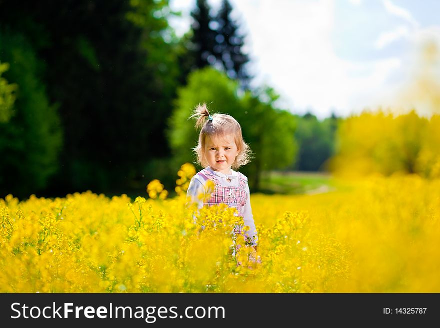 Girl on the meadow