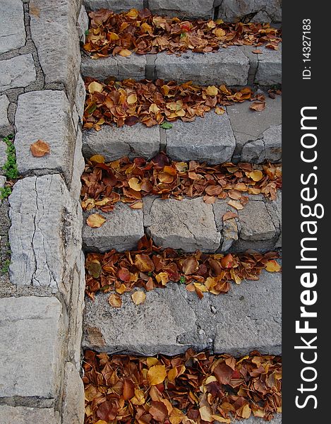 Fall leaves on gray stone steps at indiana university, bloomington, IN. Fall leaves on gray stone steps at indiana university, bloomington, IN