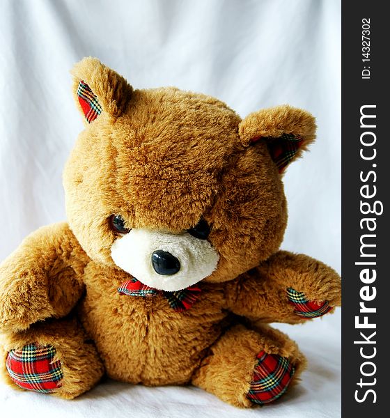 Toy brown bear