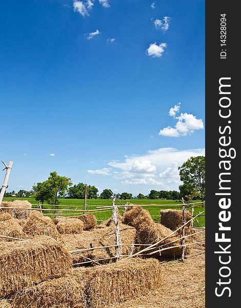 Straw and rice fields in thailand