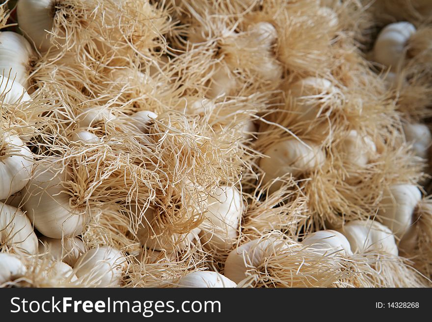 Pile of White Garlic with hairy roots showing. Pile of White Garlic with hairy roots showing