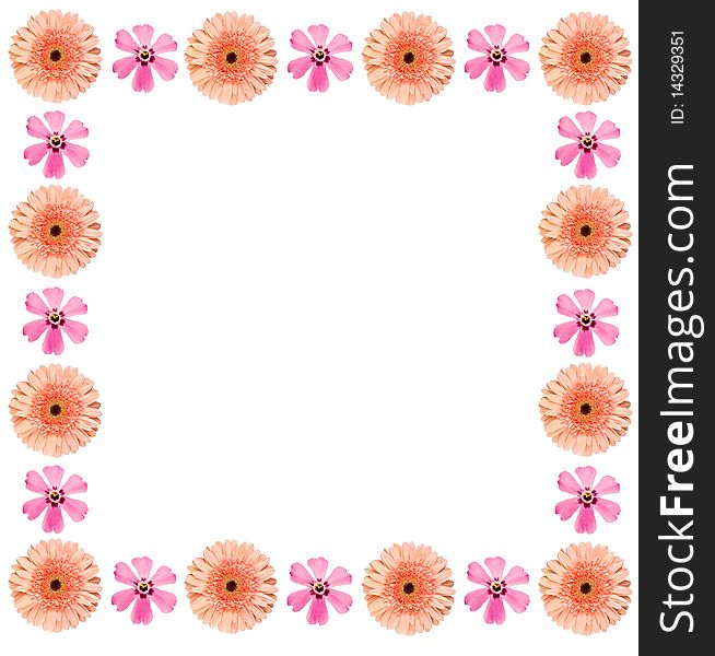 Frame made from orange gerbera and pink flower. Frame made from orange gerbera and pink flower