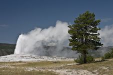 Geyser Stock Photography Geyser Stock Photography