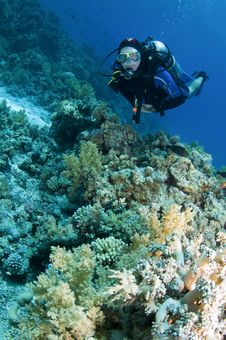 Scuba Diver On Coral Reef Royalty Free Stock Image