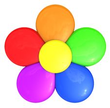 Colorful Flower Stock Images Colorful Flower Stock Images