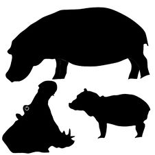 Silhouette Of Hippopotamus Stock Photos Silhouette Of Hippopotamus Stock Photos