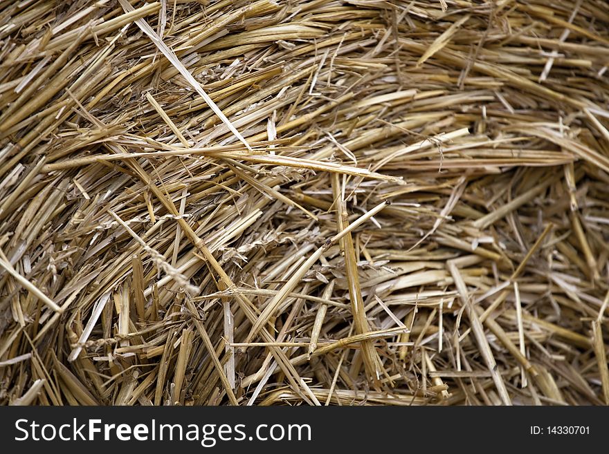 Straw background, abstract texture with wheat