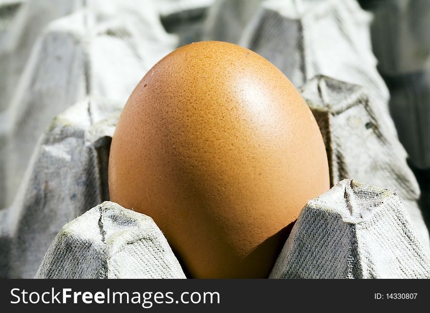 Chicken Egg In A Tray