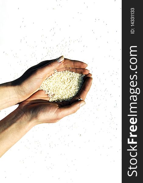 White rice laying in hands of the girl, and scattered on a white background. White rice laying in hands of the girl, and scattered on a white background