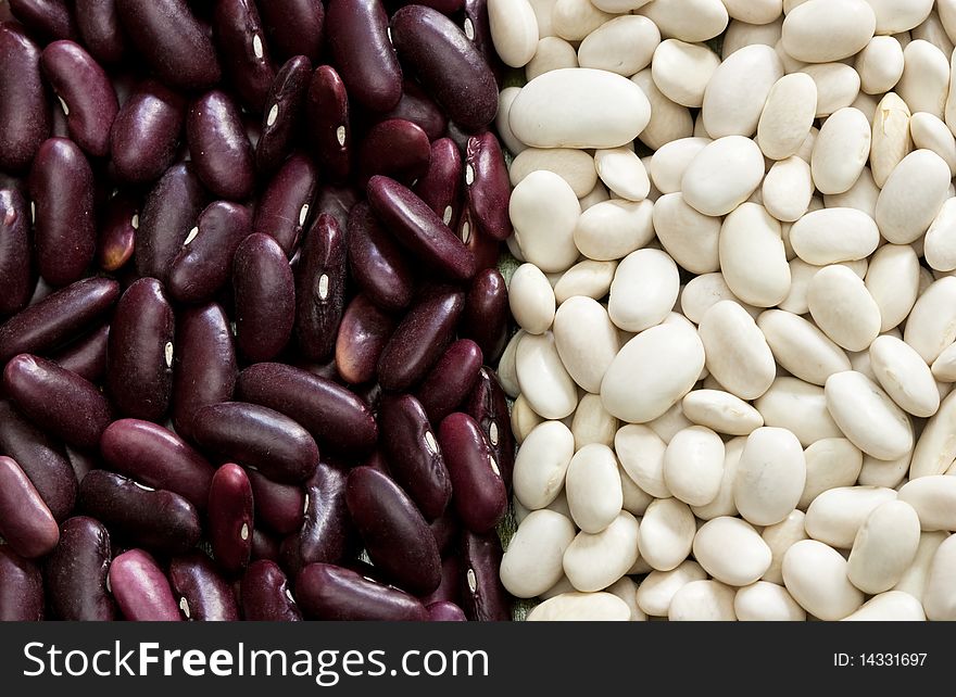 Multicolored mixed dried beans in the box