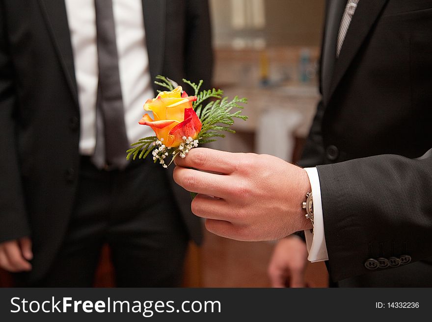 Hand of a man showing a yellow flower. Hand of a man showing a yellow flower
