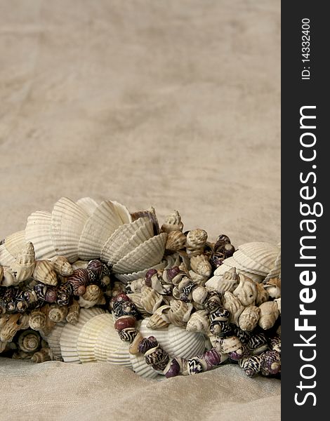 Vintage style handcrafted necklaces - Different colored seashells on white background