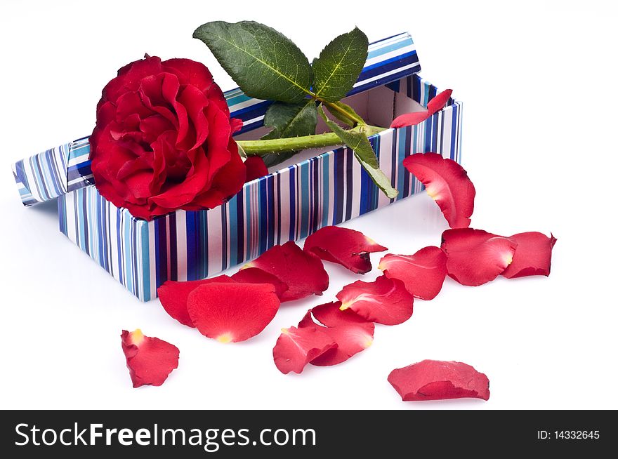 Roses in a box of gifts offered to the beloved. Roses in a box of gifts offered to the beloved