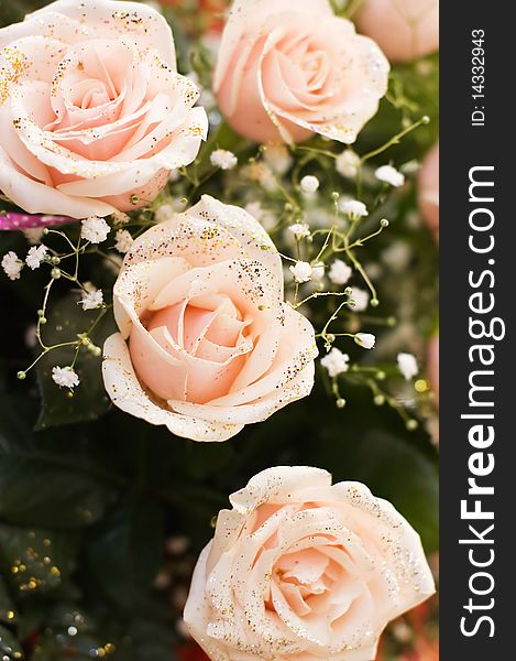 The big bouquet of pink roses background