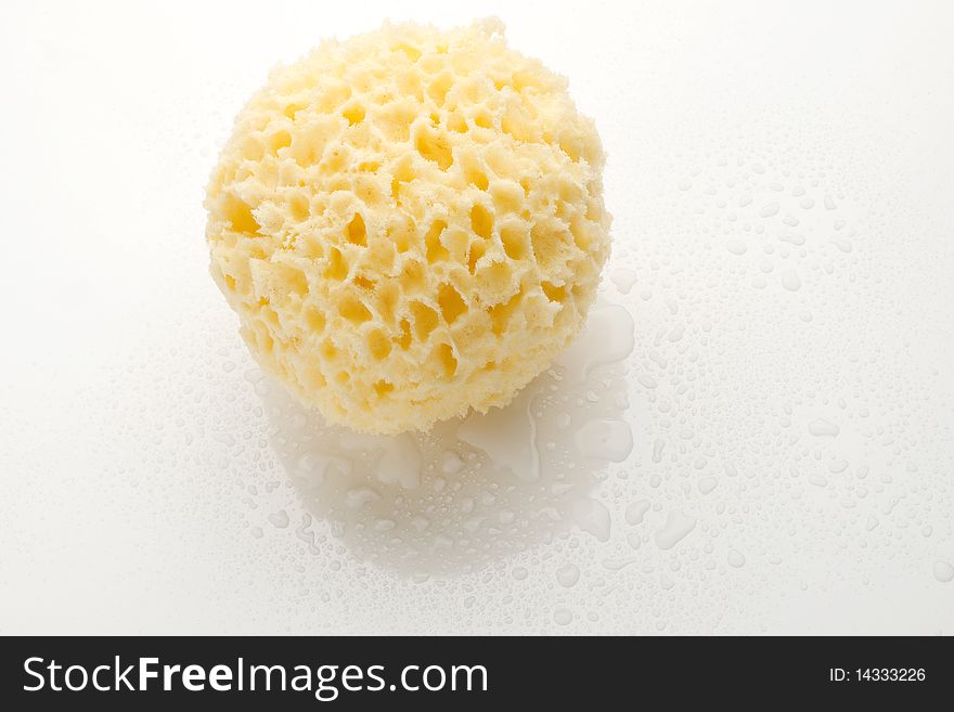 Bath sponge isolated on white