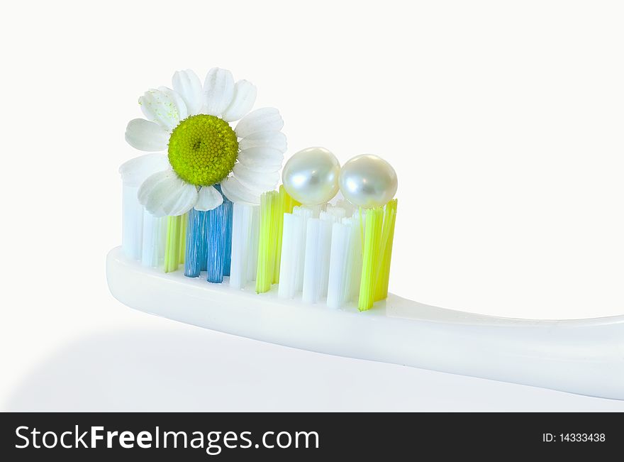 Toothbrush and a camomile on a white background. Toothbrush and a camomile on a white background