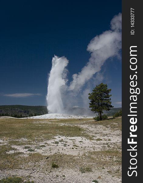 Erruption of the geyser in the national park of Yellowstone