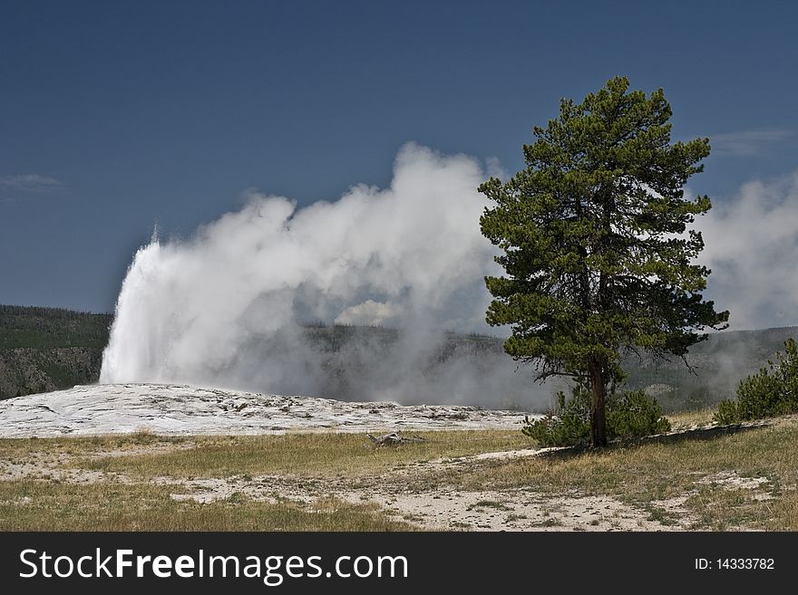 Erruption of the geyser in the national park of Yellowstone