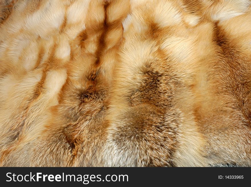 The carpet made of natural fox skins and tails. The carpet made of natural fox skins and tails