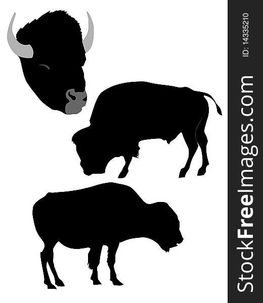 Vector black silhouette of bison