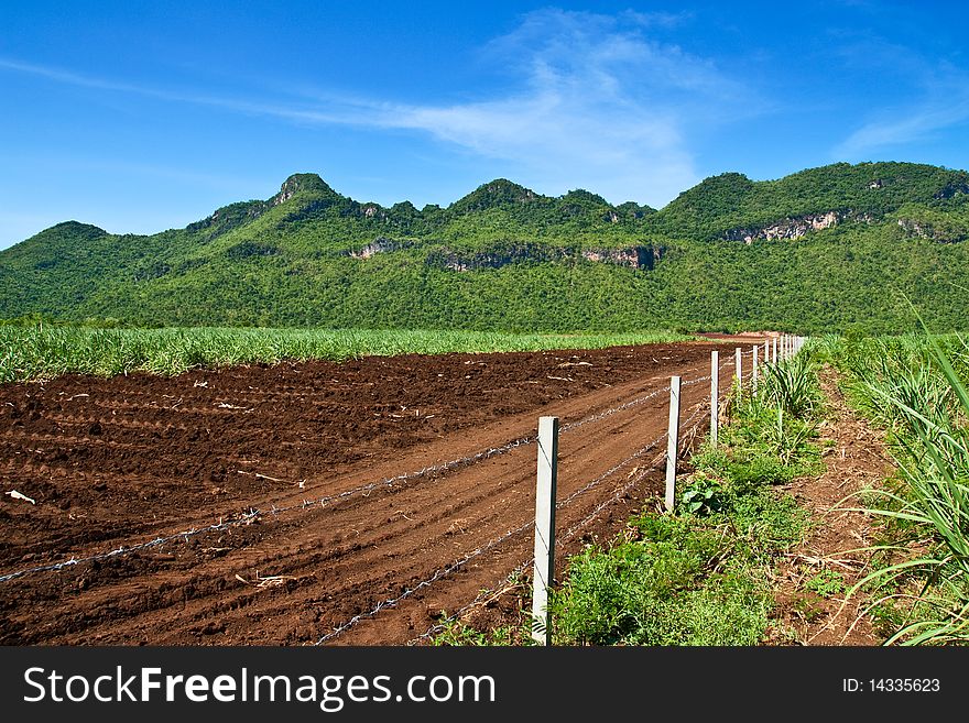 Prepare an Agricultural Land Management Plan. Prepare an Agricultural Land Management Plan