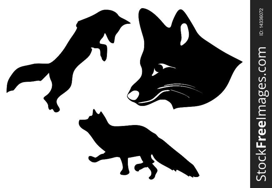 Silhouette Of Foxes