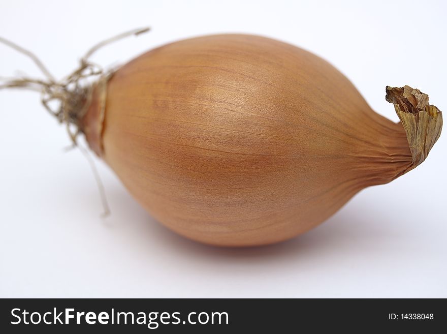 Onion sitting on seamless white