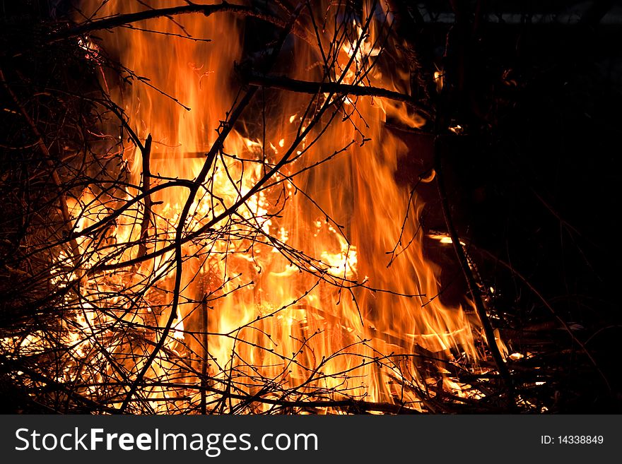 Emergency fire in night wood