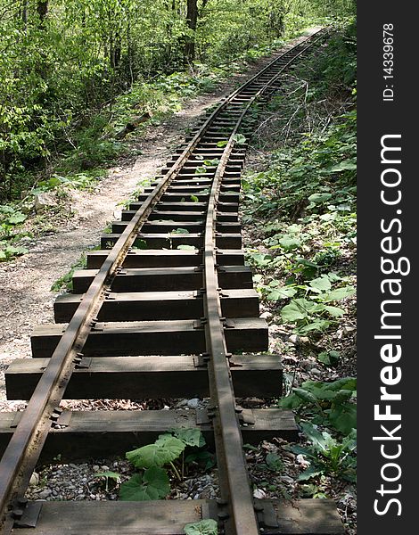 Old Railway Tracks in the Summer Forest