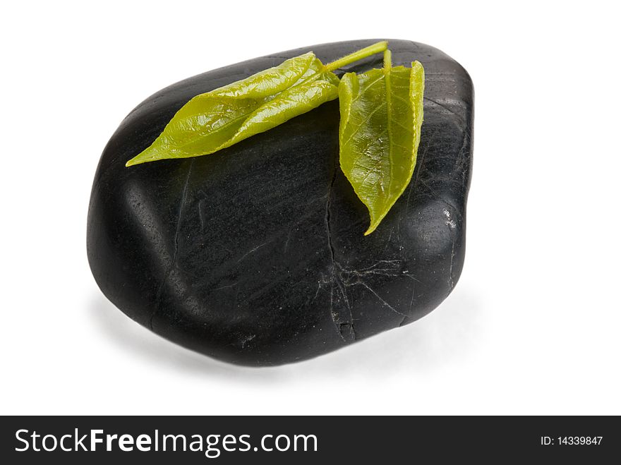 Two leaflets of tree lie on stone isolated in white