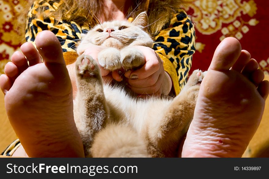 Portrait of woman and cat