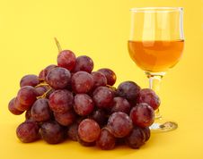 Branch Of Grape With Wineglass Stock Photography