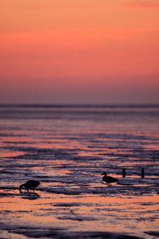 Reflection Of The Sunset In The Ocean Royalty Free Stock Images