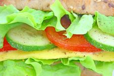 Fresh Sandwich With Cheese And Vegetables Royalty Free Stock Photography Fresh Sandwich With Cheese And Vegetables Royalty Free Stock Photography