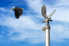 Eagle With Flag Pole Stock Photos