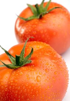 Two Tomatoes Stock Images