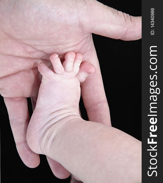 A newborn infant's tiny foot against a male hand. A newborn infant's tiny foot against a male hand.
