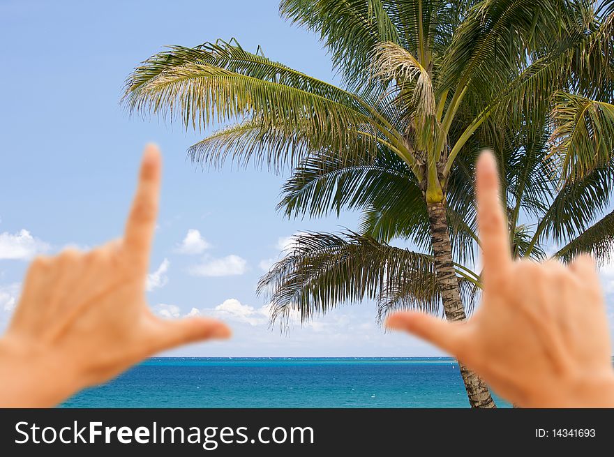 Hands Framing Palm Trees and Inviting Tropical Waters. Hands Framing Palm Trees and Inviting Tropical Waters.