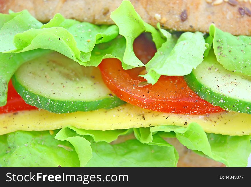 Fresh sandwich with cheese and vegetables isolated on white