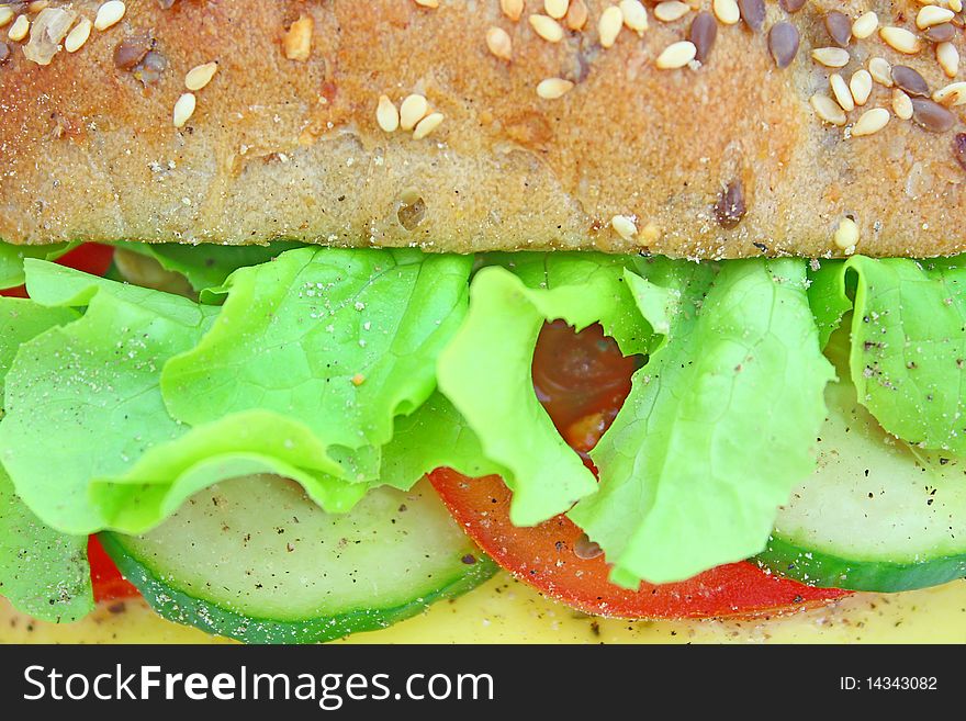 Fresh sandwich with cheese and vegetables isolated on white