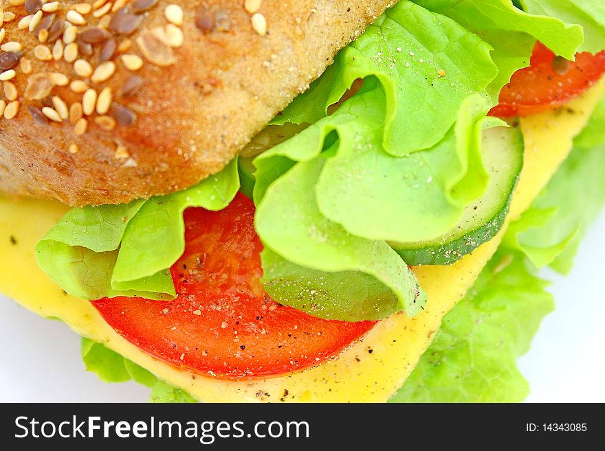 Fresh sandwich with cheese and vegetables isolated on white