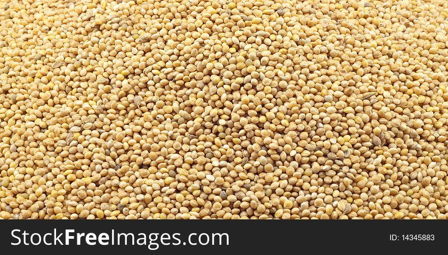 Texture of millet for your design