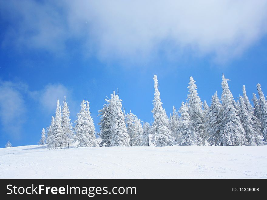 Sunny winter day in Siberia mountain. Sunny winter day in Siberia mountain.