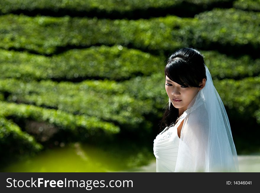Beautiful happy Chinese young bride outdoor on a bright sunny day. Beautiful happy Chinese young bride outdoor on a bright sunny day.
