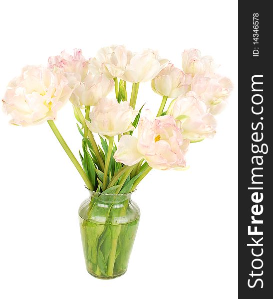 Beautiful pink piny tulips in vase isolated on white background. Beautiful pink piny tulips in vase isolated on white background.