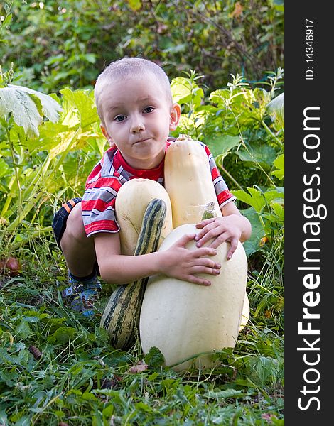 Boy with a harvest zucchini in the garden